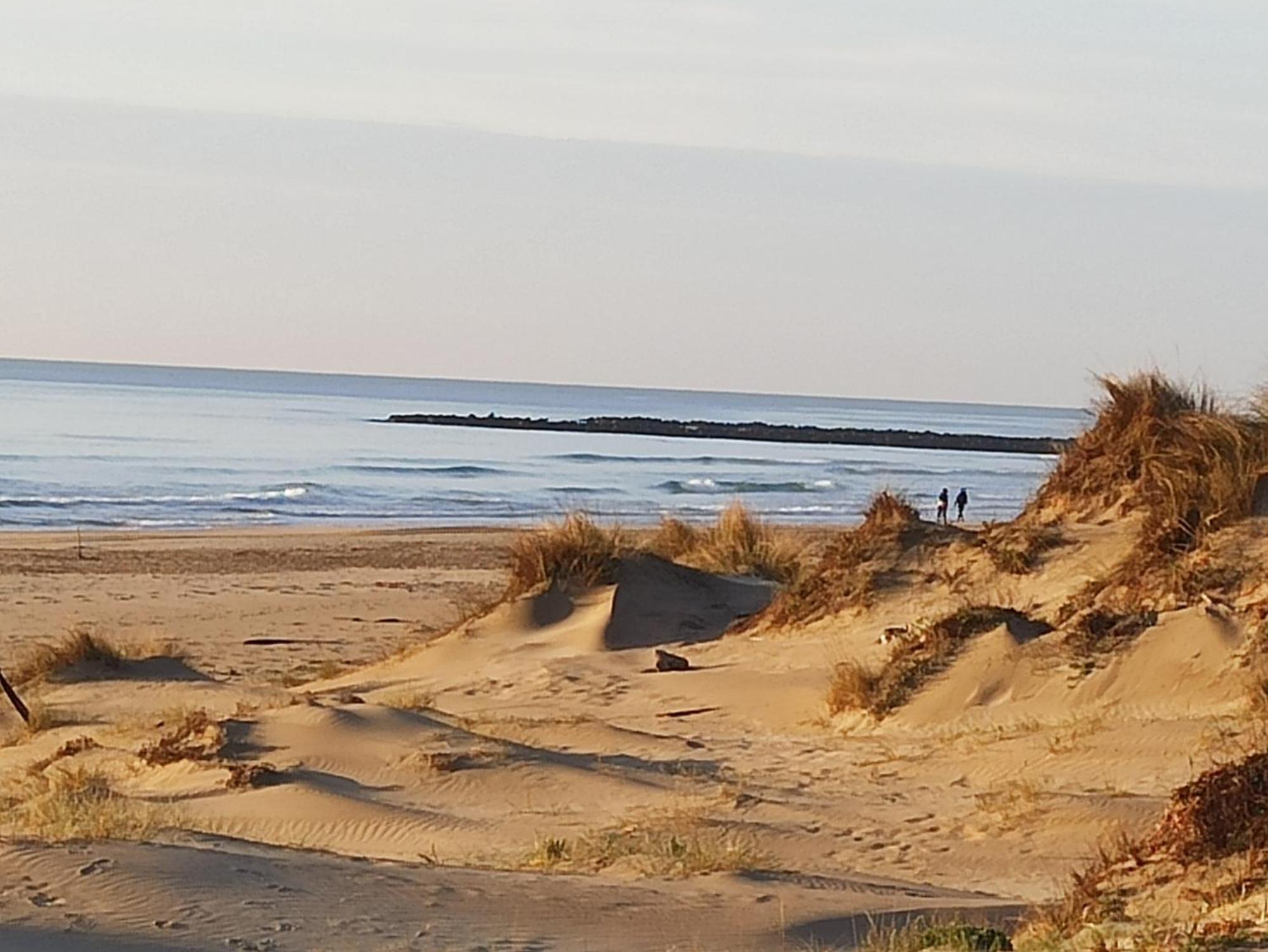 T2 Rdc Avec Jardin, Cap D'Agde, Secteur Falaise, 100 M Plage, Clim, Wifi, Parking Exterior photo